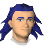 A headshot avatar of the player Sonic X
